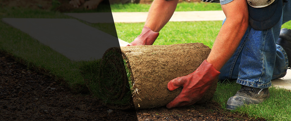 East Quogue Landscapers